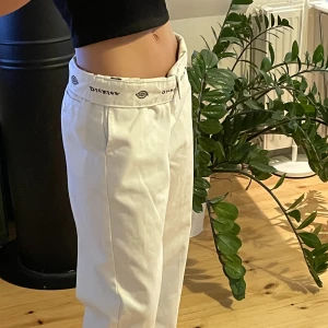 Dickies - Storlek S, rätt korta i benen! Knappt använda. 