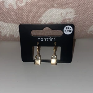 Örhängen - Supersöta guldfärgade örhängen i form av små lås🔒Aldrig använda, originalpris 29 kr men säljer för 19 kr💓13 kr frakt ✨