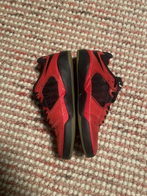Nike ISHOD röda skateskor - Röda ISHODS i storlek 44. Bra skick inge slitage på sulan. ANVÄND GÄRNA KÖP NU! Skickar inom 24 timmar😊 pris kan diskuteras