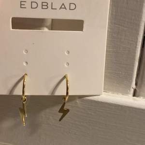 Ett par jätte gulliga örhängen från Edblad. Helt nya och aldrig använda 