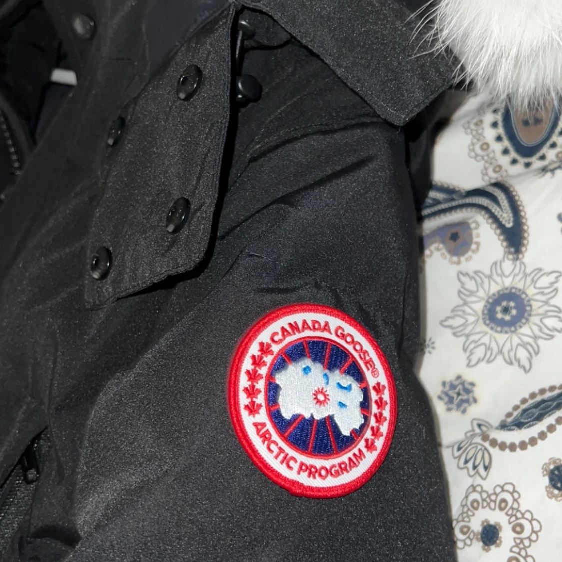 Canada Goose Wyndham Fur - 91