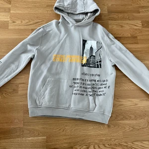 Pull & Beer Hoodie - En grå hoodie från pull&beer. Storlek Large.Köpte denna hoodie för 4 månader sen men har använt den 2 gånger sen dess. 