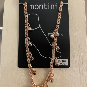 Footlink montini - Köpta för 60kr som present men passade inte stilen så jag säljer den nu för 29kr. Den är helt ny och har inte ens tagits ur sin förpackning.