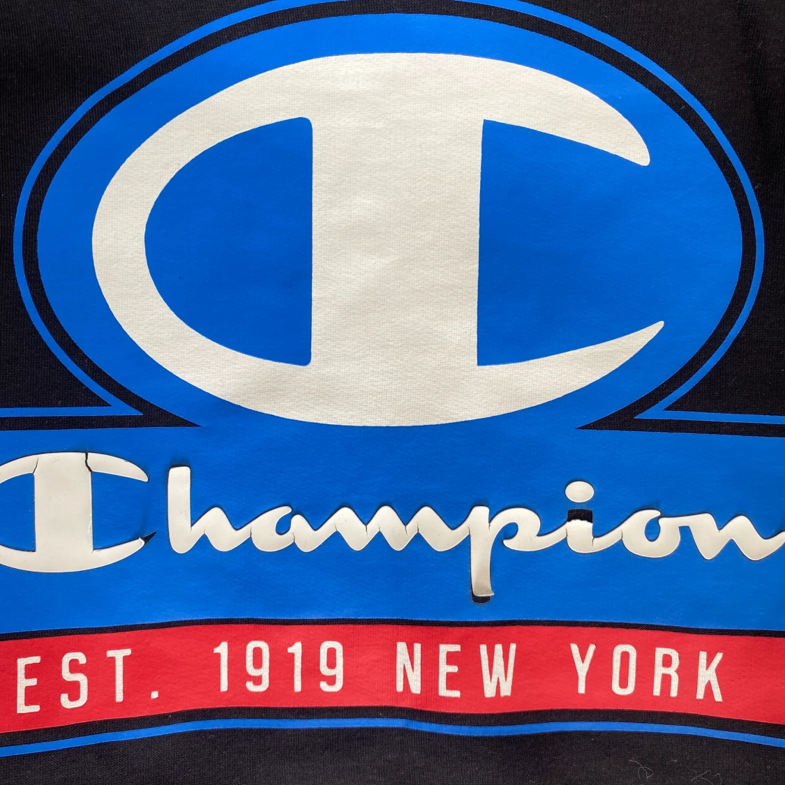 Champion tröja - 91