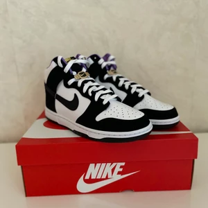 Nike Dunk High World Champions  - Helt nya Nike dunk highs world Champions med kvitto från Nike.