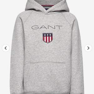 Gant hoodie 164