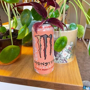 Monster burk - Monster Peach, köpt i England, tror inte den finns i Sverige. Säljes tom och kan användas som kruka för plantor 🌱