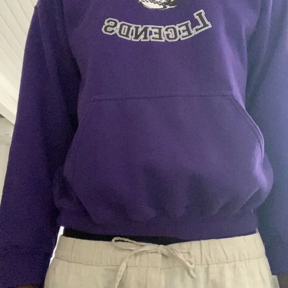 En lila vintage hoodie köpt på Beyond Retro i Stockholm. Storleken är L och den är använd en fåtal gånger  Det enda kruxet som kan vara för vissa är att det står Alex i bak.. Hoodies.