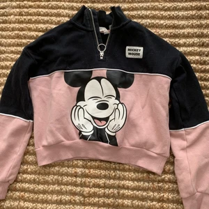 Micke mouse - Vi har katt! Ingen luva.