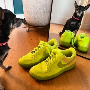 Nike air force 1  - Jag köpte dom som ingen defekt men som man kan se det är en sida som är målad Annars är som nya Hunden ingår ej