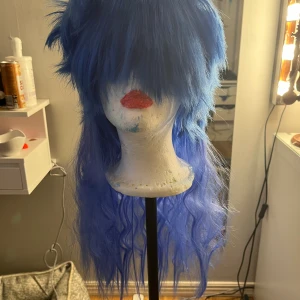 Blå peruk - Köpte den på tradera men kom aldrig till användning!😊 skriv priv ifall ni vill ha fler bilder. Tvättar noga innan jag postar!