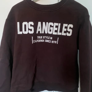 brun tröja med tryck - En brun sweatshirt med vitt tryck på, den är från Zara och är i stolek S