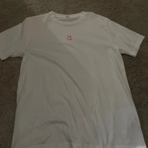 Louis Tomlinson t-shirt  - Finns inte att köpa längre!! Använd 1 gång.  