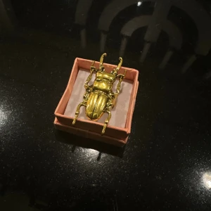 Skalbagge ring - Jättefin unik rostfri ring ✨ Finns även i silver inne på lager och är resizable