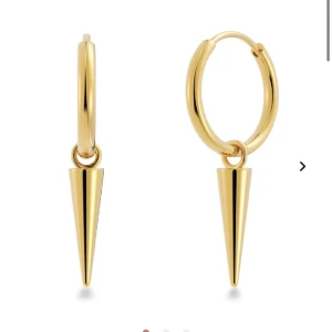 Edblad örhängen  - Köp gärna via köp nu! Säljer dessa guldiga örhängen ifrån Edblad som jag fick i julklapp då dom inte kommer till användning, dom är i nyskick endast använda någon enstaka gång❣️ny pris är 399kr säljer för 150kr+frakt. Ask medföljer💗 