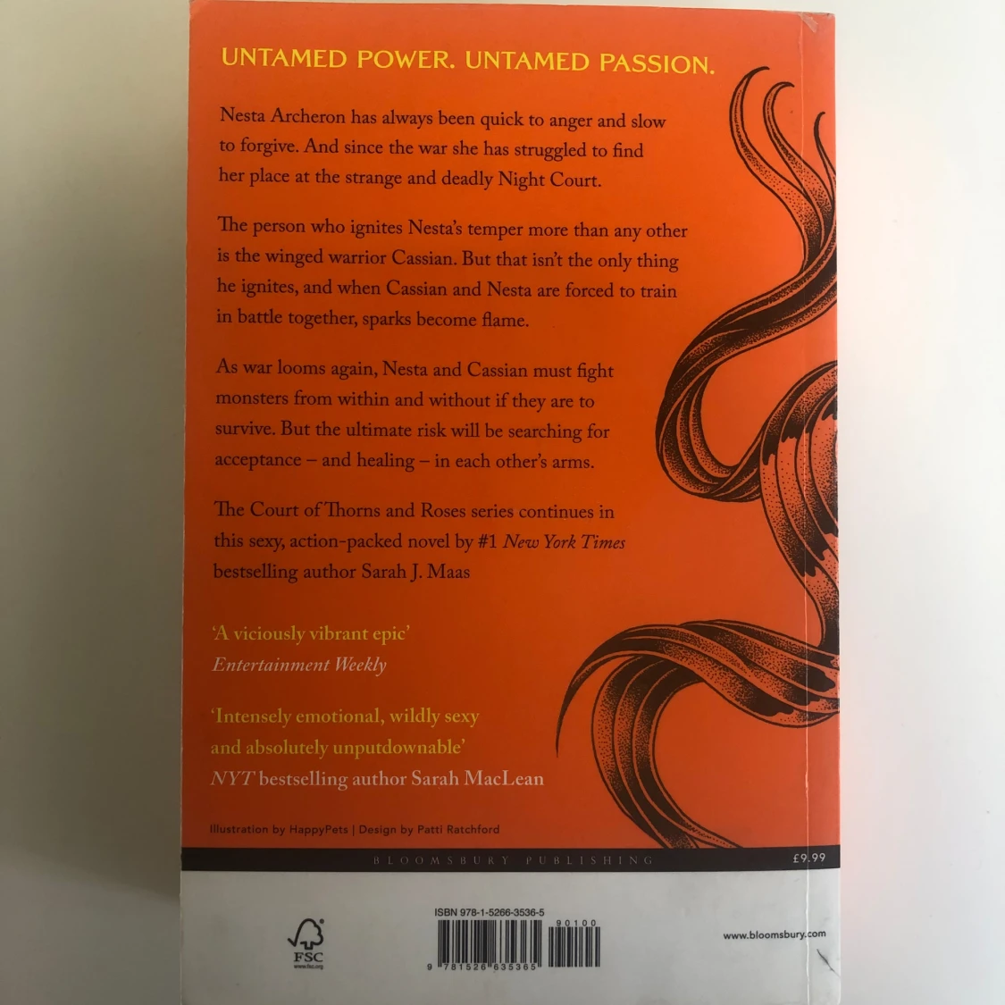 A court of silver and flames  - 91