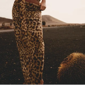 Leopard kjol från zara - Leopardkjol från zara, aldrig använd! Storlek M men passar S också, supersnygg passar inte mina färger bara ❤️ aldrig använd med lappar kvar