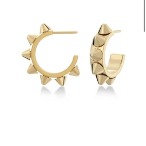 Nit Örhängen - Ett par jättefina örhängen ifrån Edblad men nitar💞