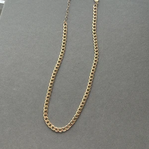  Ett guldigthalsband   - Gjord av bland stål 