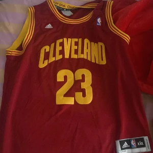 James line - En riktig fett basket James tröja som man kan använda i sommaren den är äkta har ej använt den fick den som present