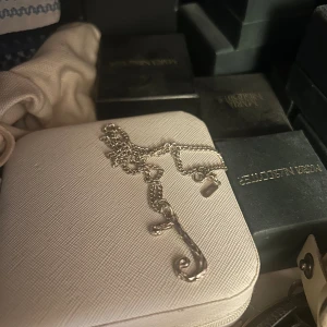 Maria Nilsdotter halsband  - 40 cm ❤️ tjockare kedjan, box följer med. 