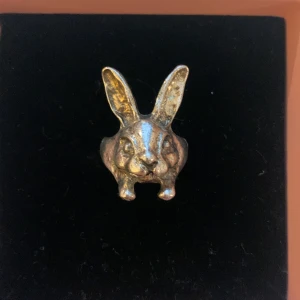 Ring - Aldrig använd, är för stor för mig (jag har små fingrar) men det kan justeras