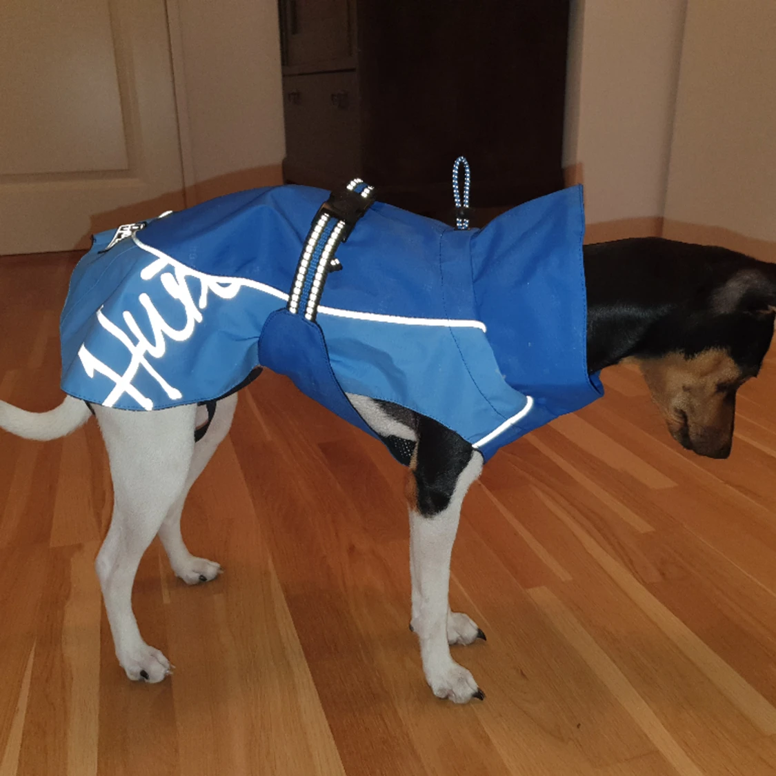 Hurtta regntäcke - 91