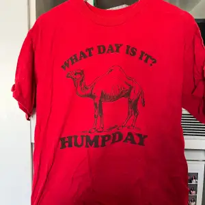 HUMPDAY - ett skämt som baseras kring att dromedarer oså har en hump - så här ser man en 🐪 som säger att det är humpday idag💯💯💯💯