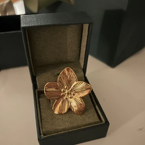 Statement ring  - Hej, säljer denna ring i guld. Storlek går att justera. 