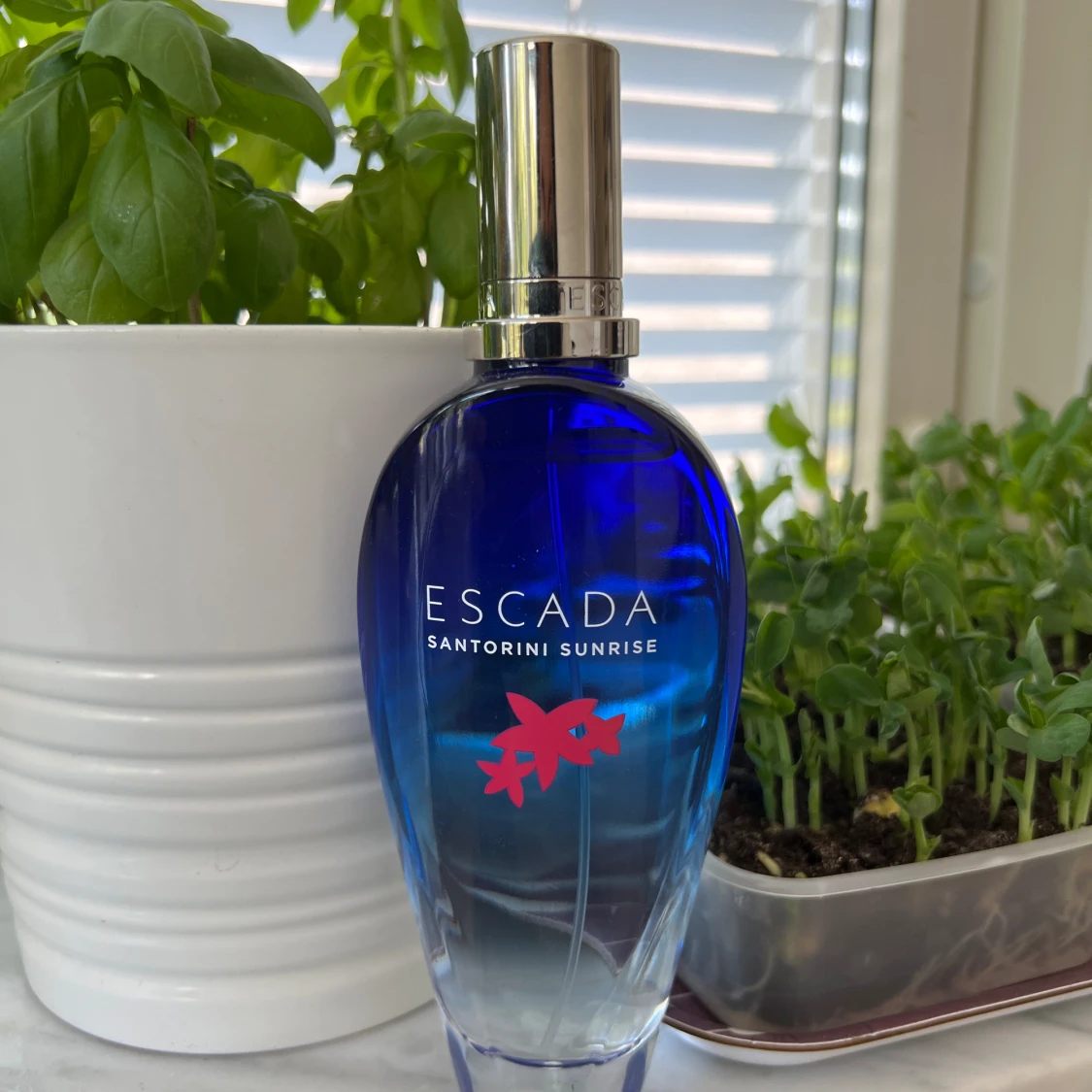 Escada Santorini sunrise  - 90