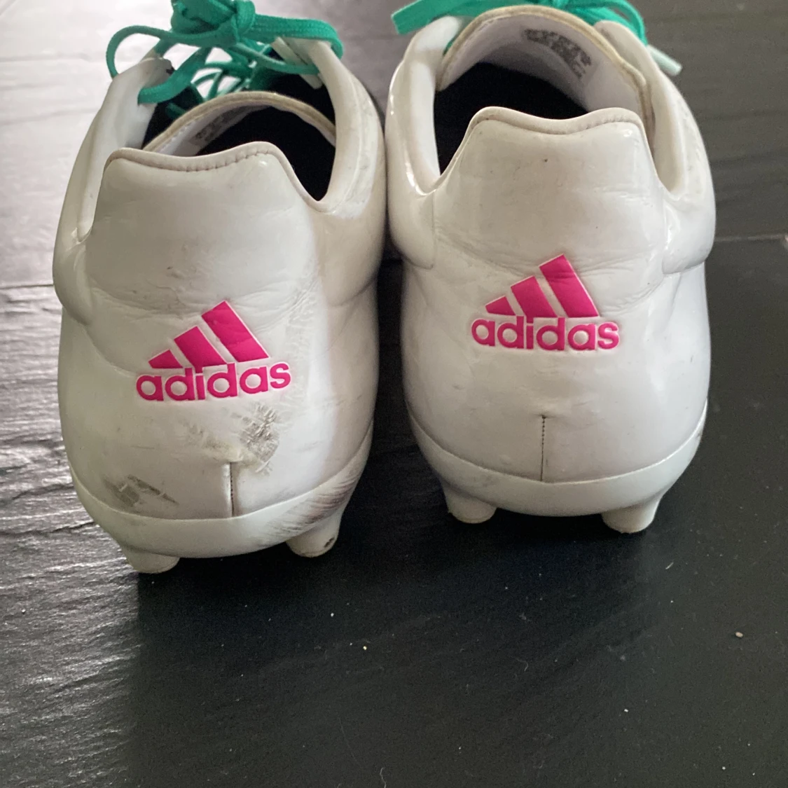 Sällsynta aridas predator 15.3 - 90