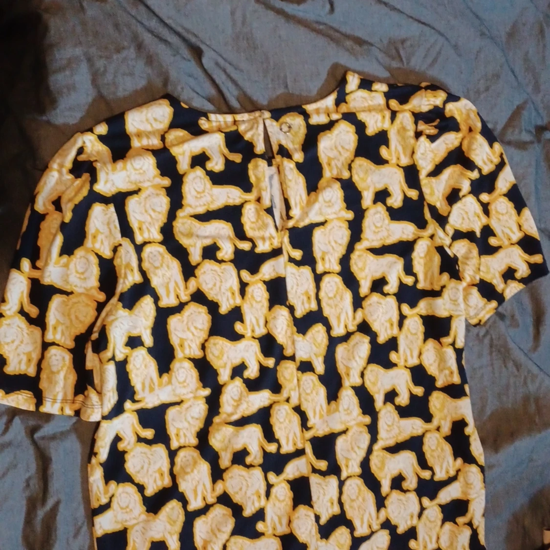 En tröja med lejon på - 91