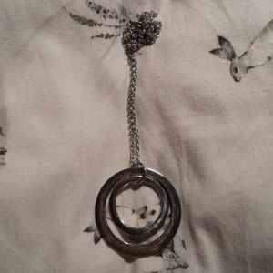 Halsband med ringar - Ett silvrigt halsband med två stora ringar.