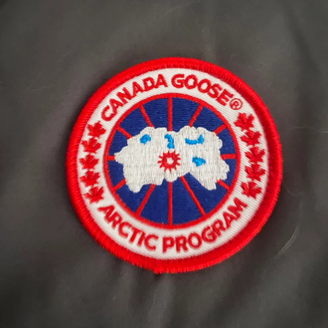 Grå Canada goose väst - 90