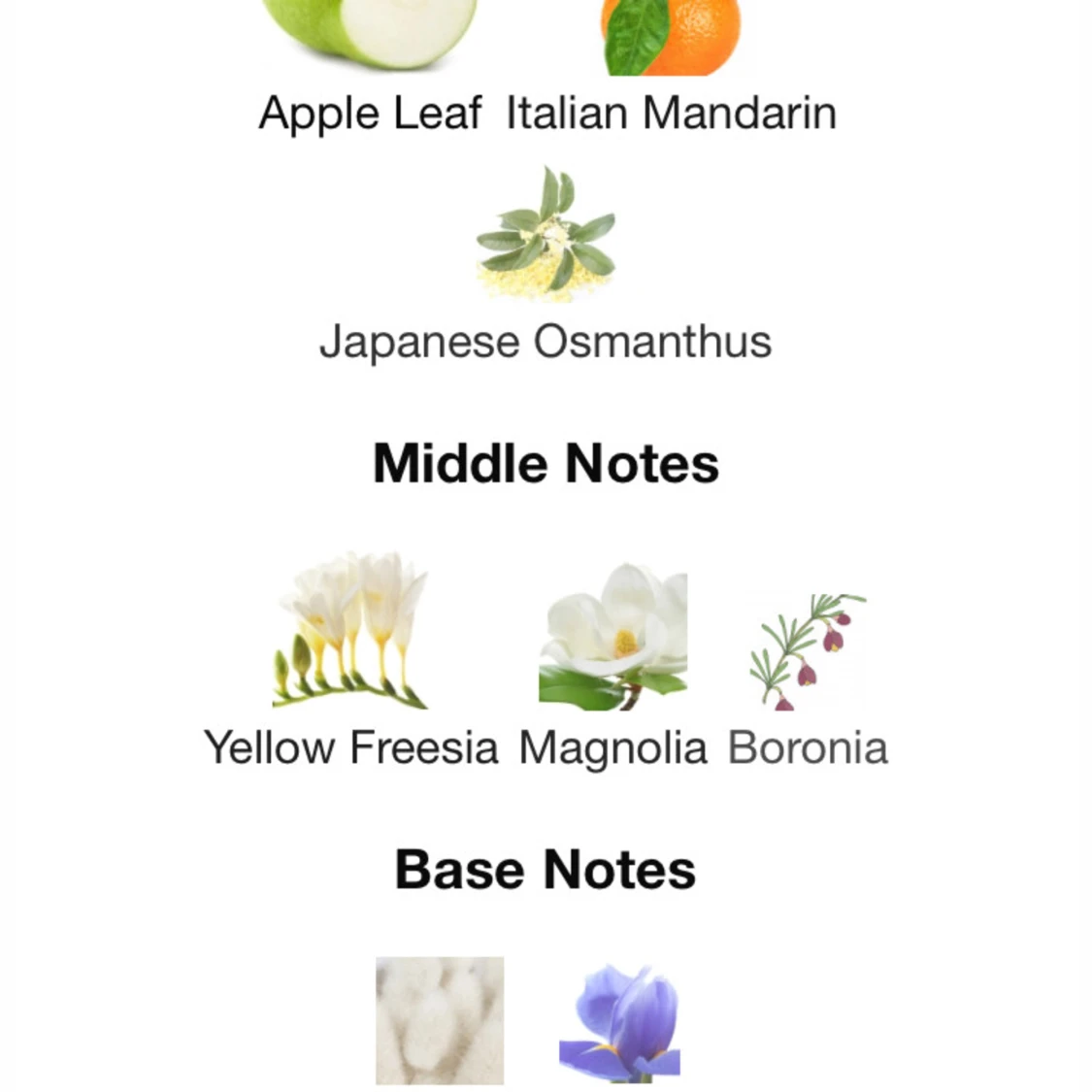 Ralph lauren Vapo  - 90