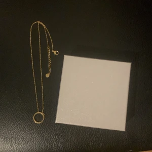 Platerat guld halsband  - Smycket är från Edblad men har tappat bort lådan Har aldrig använt det så den e i princip helt ny Pris ursprungligt 350kr
