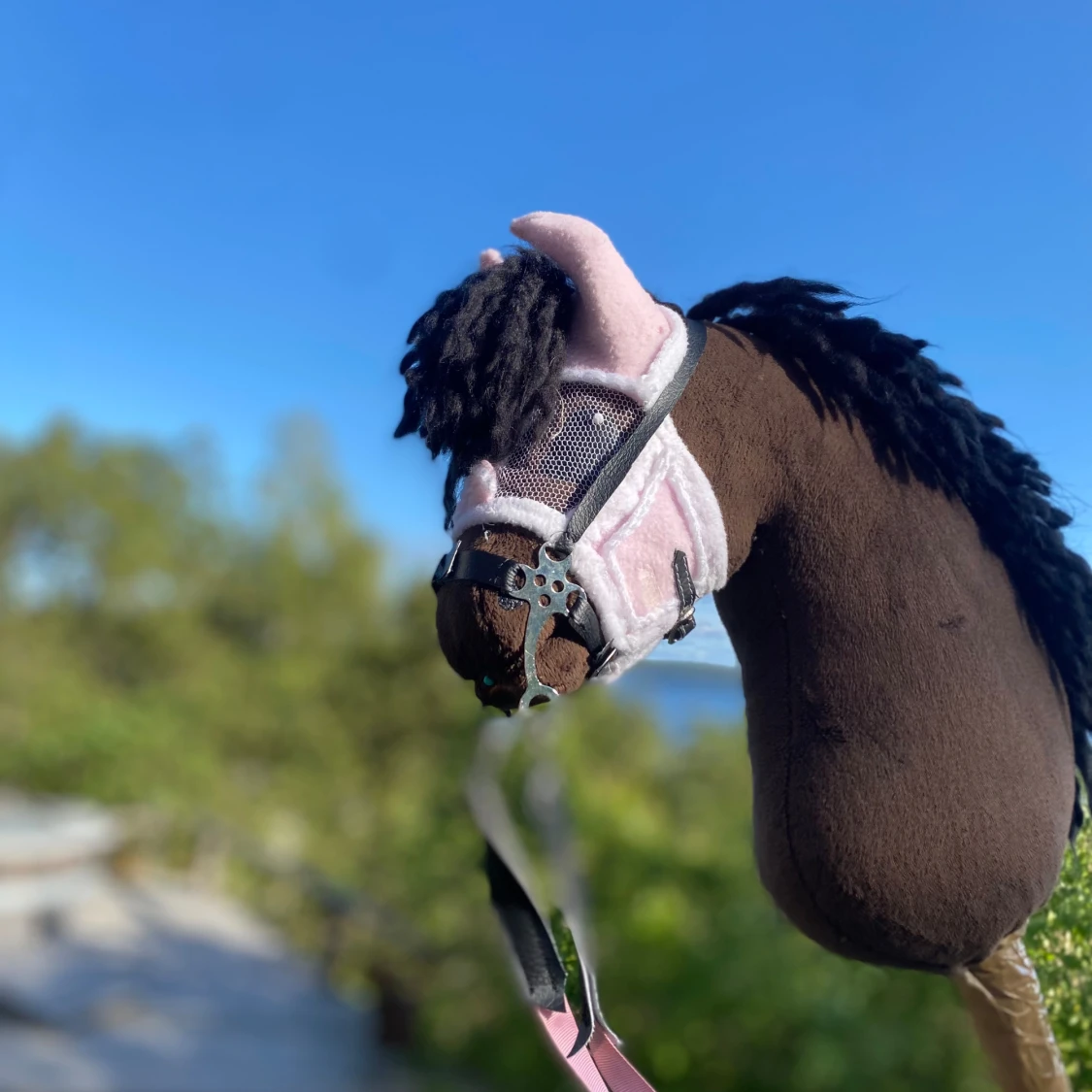 Fin käpphäst  - 91