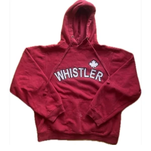 Hoodie - Unbranded hoodie i storlek Large, har lite färgstänk på magen