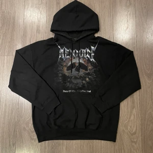 Vintage hoodie - Vintage hoodie i mycket bra skick. Skriv för frågor eller mått. Priset går att diskutera.