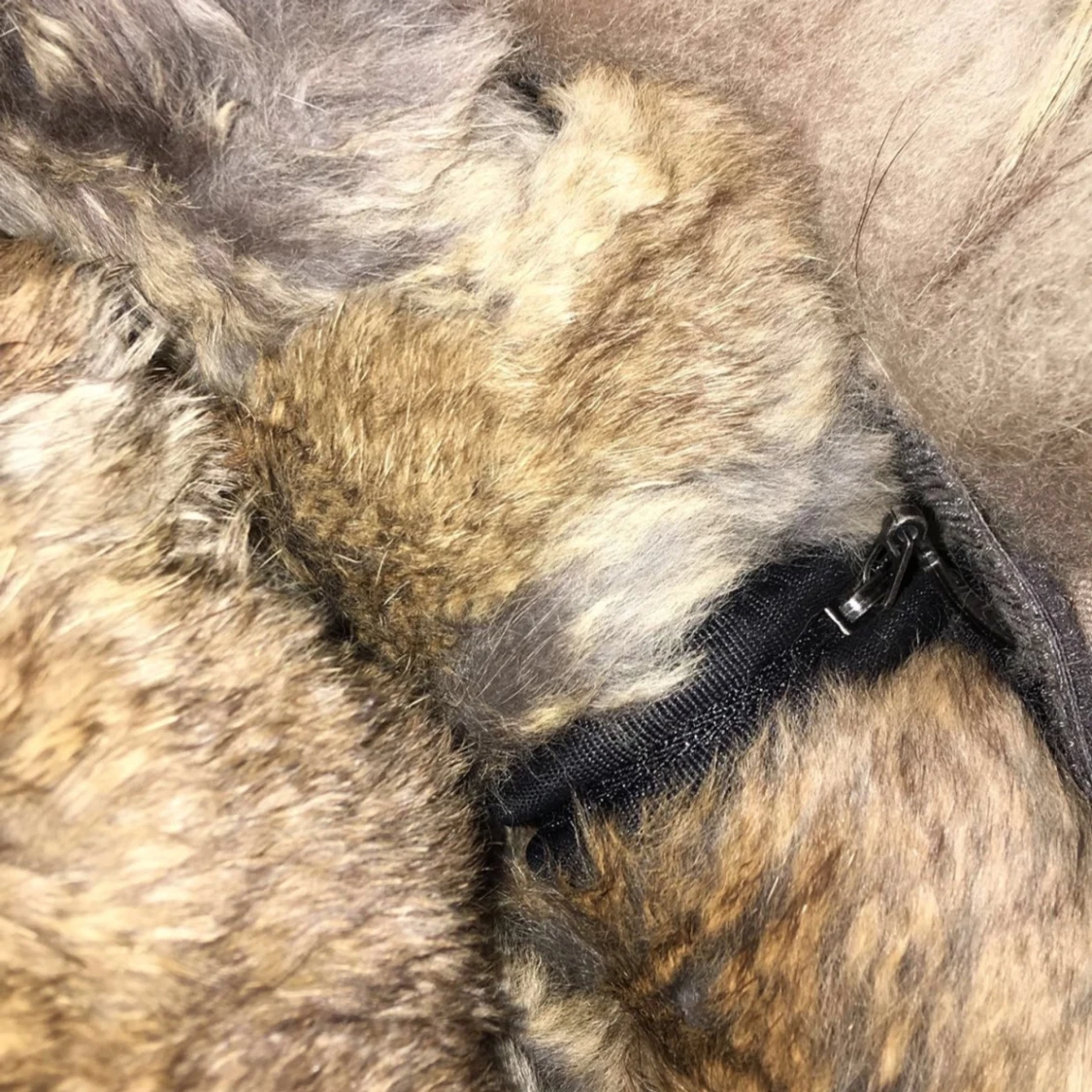 Parajumper longbear - 90