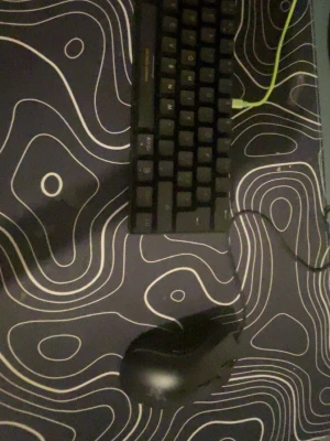 RGB-tangentbord och gamingmus - Säljer ett kompakt svart tangentbord med RGB-belysning och en svart gamingmus med belyst logga. Tangentbordet har mekaniska tangenter och ansluts med grön kabel. Perfekt för gaming eller datorarbete.