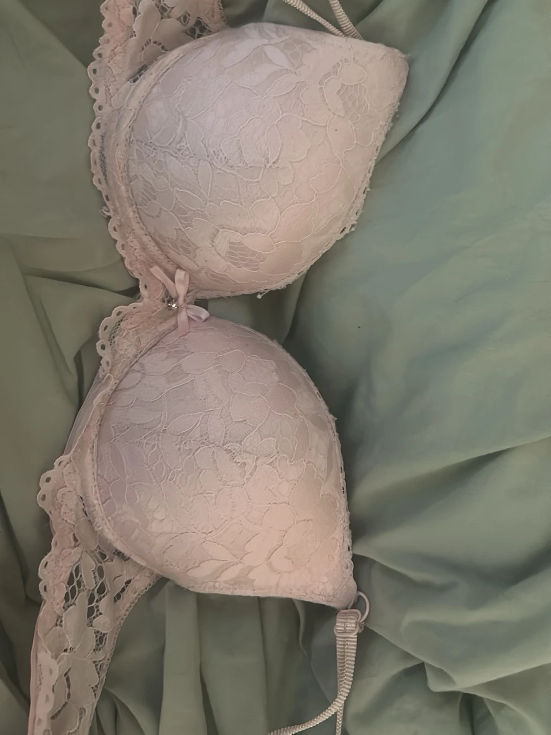Rosa BH