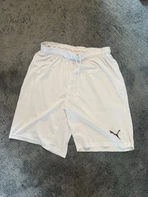 Vita träningsshorts från Puma - Snygga vita träningsshorts från Puma med elastisk midja och snörning. Shortsen är tillverkade i ett lätt och svalt material som passar perfekt för sport och varma dagar. Fortfarande i bra skick, börjar töjas lite, se bild. Fråga om du har funderingar!