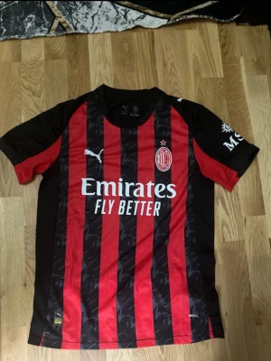 AC Milan matchtröja Puma röd/svart - Snygg AC Milan matchtröja från Puma i rött och svart med vertikala ränder. Framsidan har Emirates Fly Better-tryck och klubbmärke, baksidan har Rafa Leão och nummer 10. Tillverkad i lätt och ventilerande material, perfekt för fotboll eller träning.