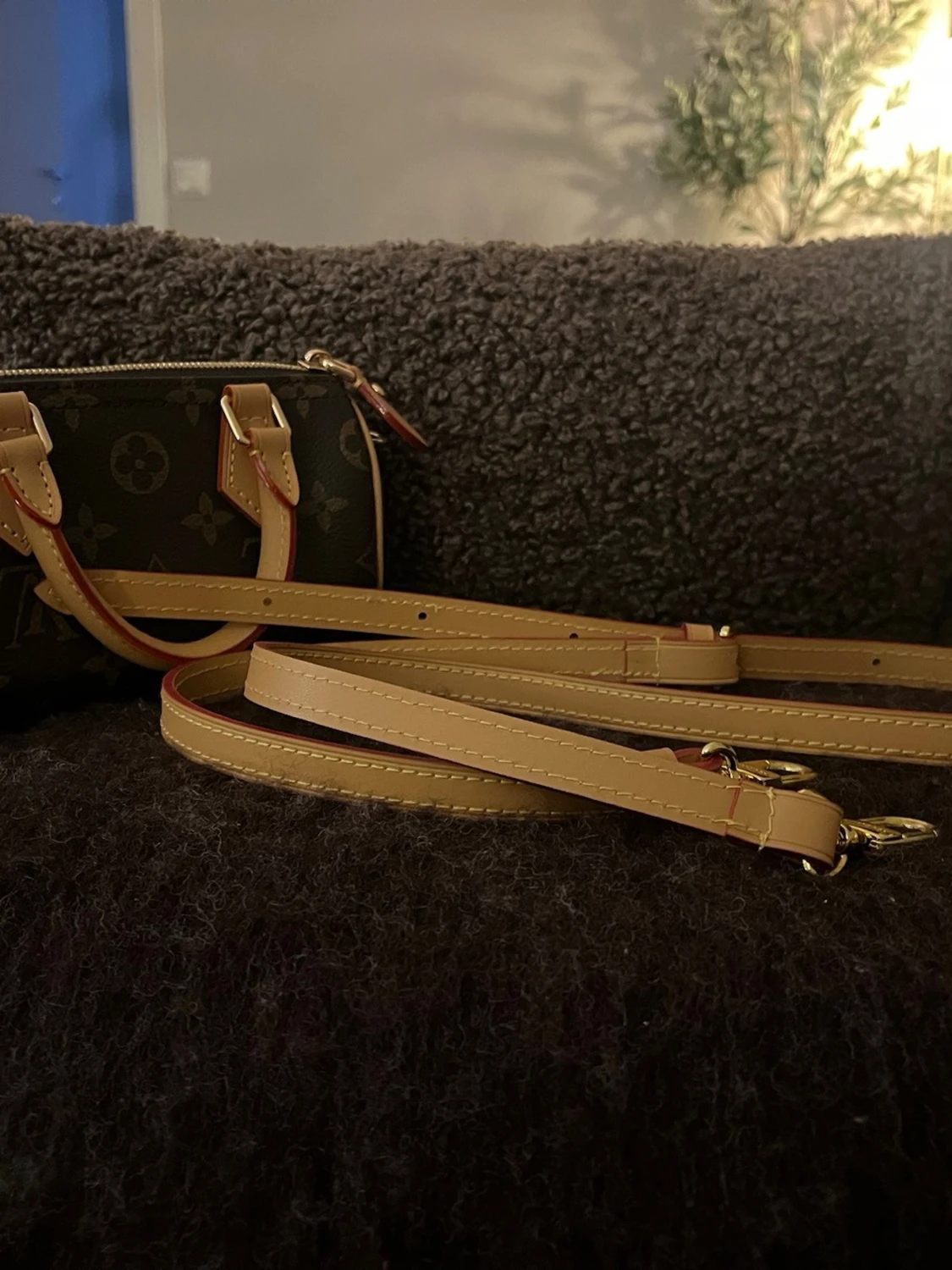 Louis Vuitton Speedy  - 2