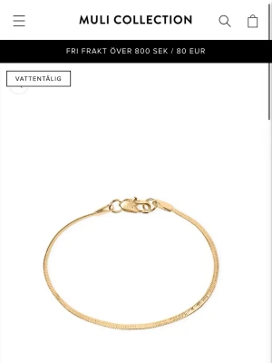 Guldigt armband från Muli Collection - Snyggt och stilrent armband i guldton från Muli Collection. Armbandet har en tunn, slät design med klassiskt lås och passar perfekt för dig som gillar minimalistiska accessoarer. Tillverkat i metall med guldfinish och vattenavvisande egenskaper.