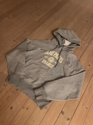 Ami Hoodie  - Snygg grå hoodie från Amiparis med tryck i beige på bröstet där det står 'AMIPARIS FRANCE EST. 2011'. Hoodien har huva med dragsko och en stor magficka. Perfekt för en chill och avslappnad stil.