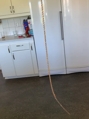 Tunt guldigt kedjehalsband - Säljer ett smalt och stilrent halsband i guldfärgad metall. Kedjan är tunn och har en klassisk länkdesign som passar perfekt till olika stilar. Perfekt accessoar för dig som gillar minimalistiska smycken.