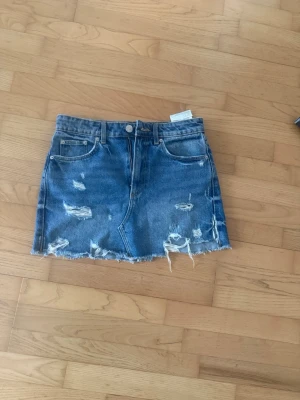 Zara kjol  - Jätte fin. Aldrig använt 