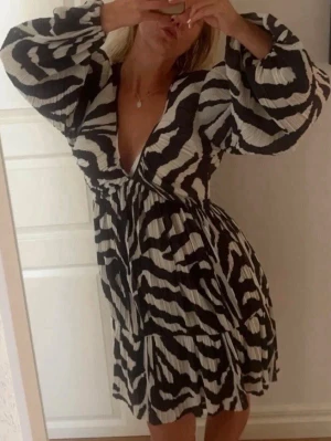 Zebra klänning - Storlek m från H&M! 